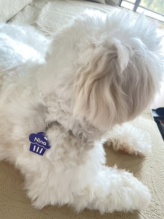 Tag de Identificação Cupcake photo review