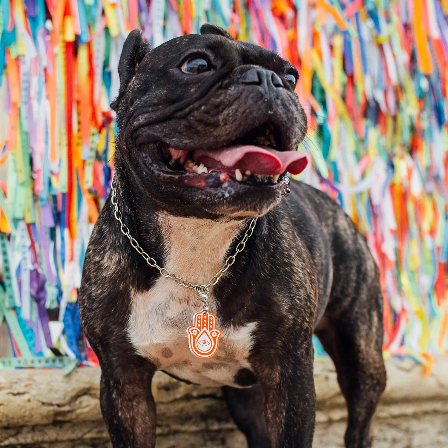 Tag de Identificação Hamsá - Imagem 3