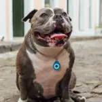 Tag de Identificação Olho Grego - Imagem 3