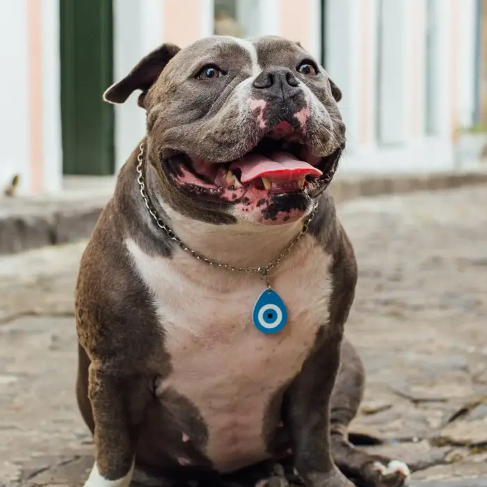 Tag de Identificação Olho Grego - Imagem 3