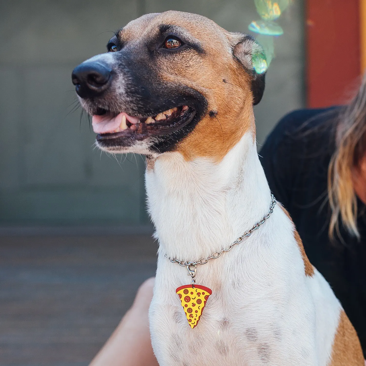 Tag de Identificação Pizza - Imagem 3