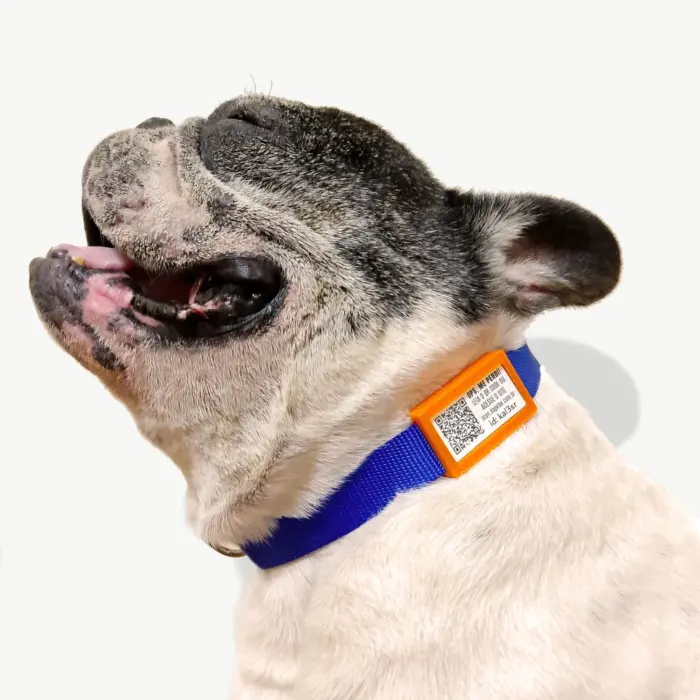 Tag de Identificação com QR Code - Clip Tag - Petscan - Imagem 1