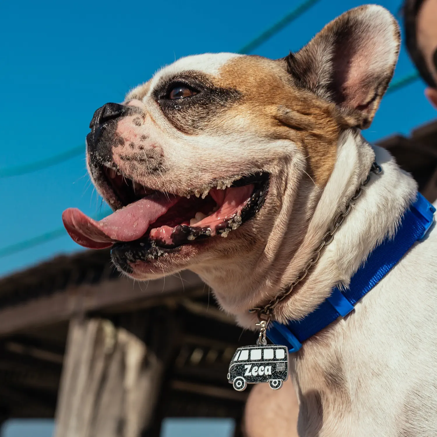Tag de Identificação Kombi - Imagem 3