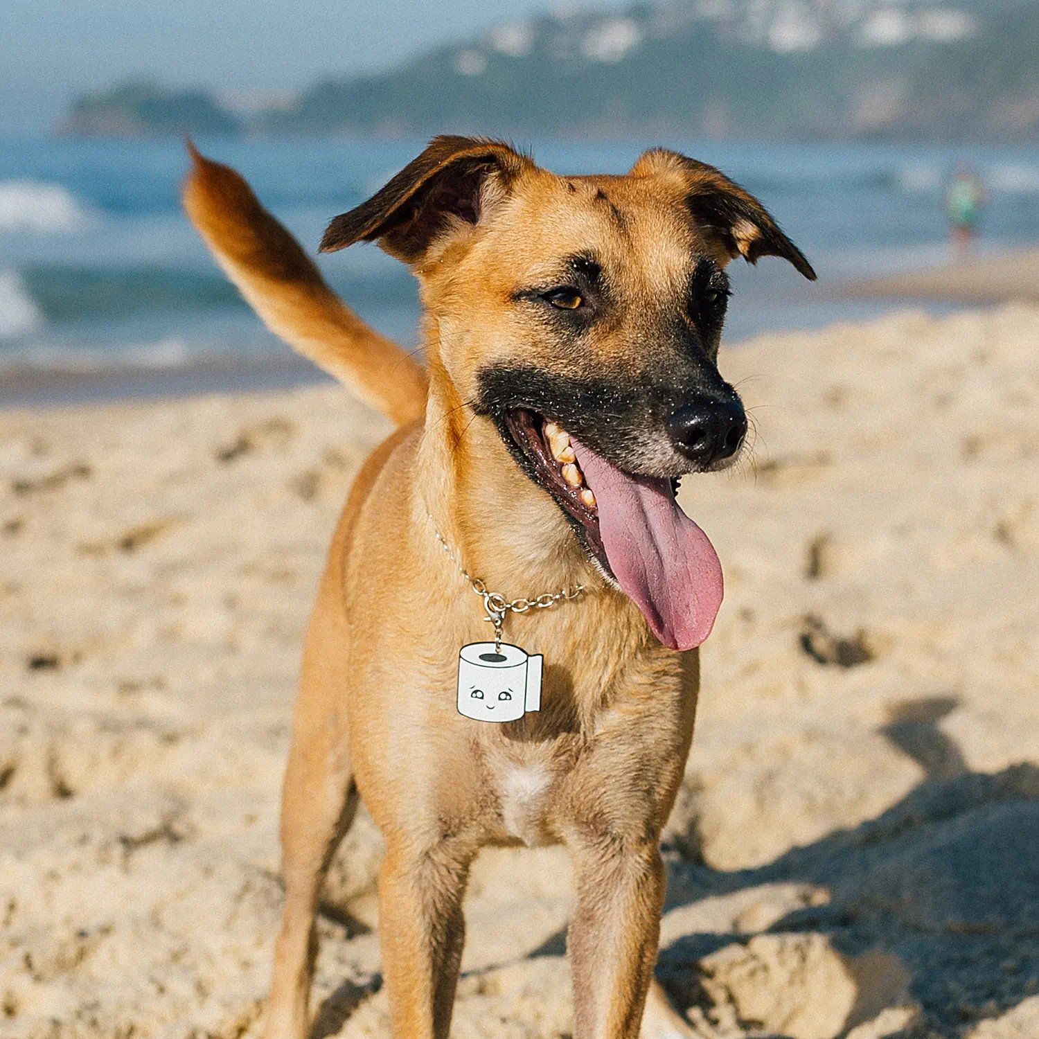 Tag de Identificação Papel Higiênico - Imagem 3